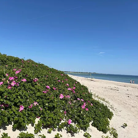 8 Person In Sydals * Nedre Lysabild